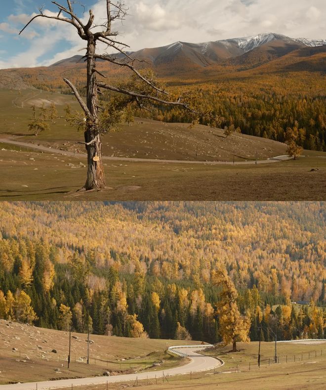 天最佳安排10月报团游新疆16天小团安排纯玩AG真人百家家乐APP10月报团游新疆十六(图2) 天最佳安排10月报团游新疆16天小团安排纯玩AG真人百家家乐APP10月报团游新疆十六(图2)